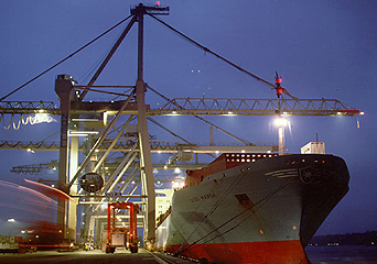 1645430345107888.jpg 1.jpg